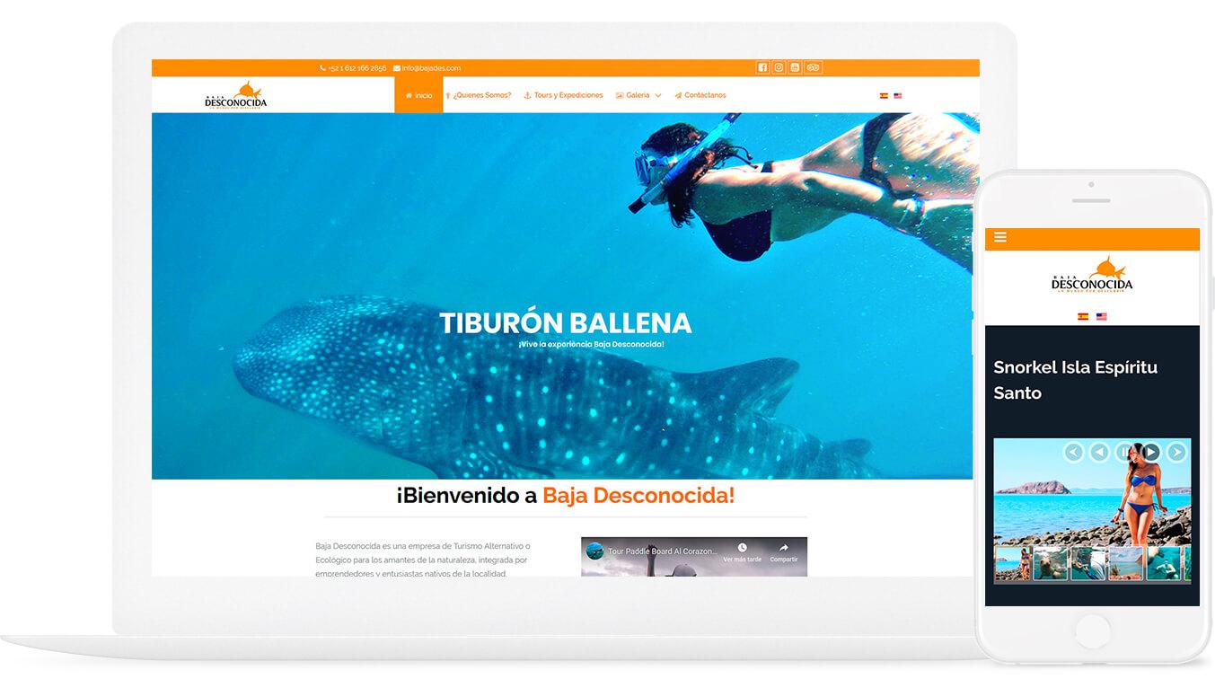 Proyecto diseño web Baja desconocida